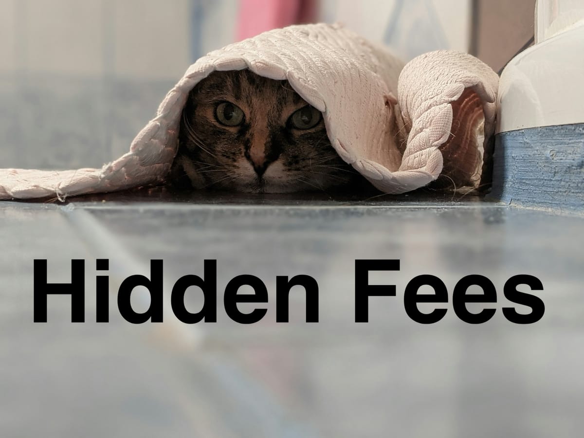 7 Hidden Fees that Could be Costing your Clinical Research Consulting Business up to 20% of Profits